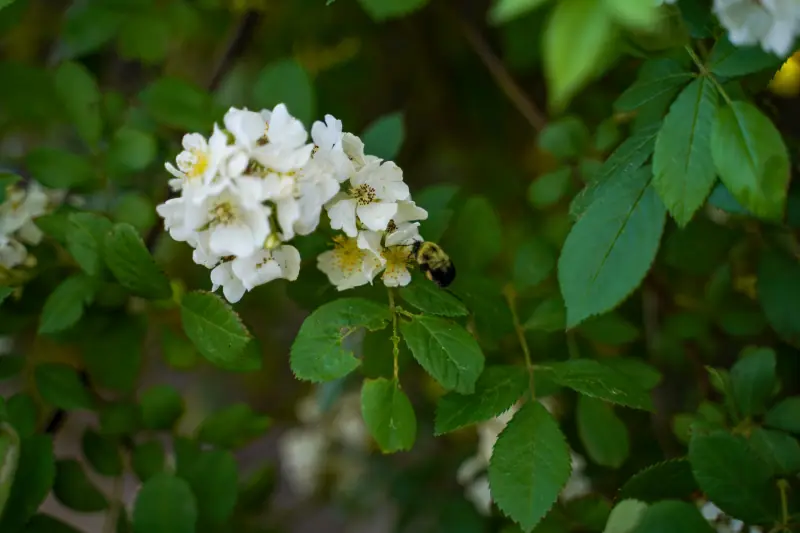 Photograph 30