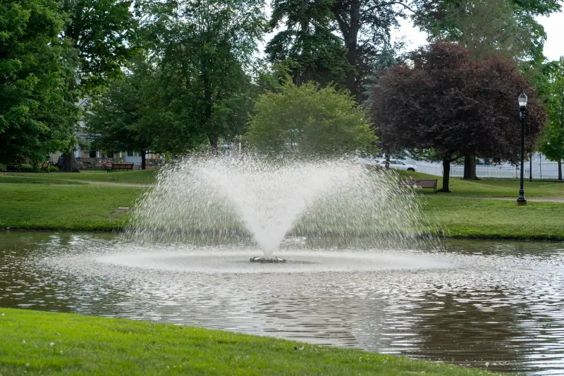Photograph 7
