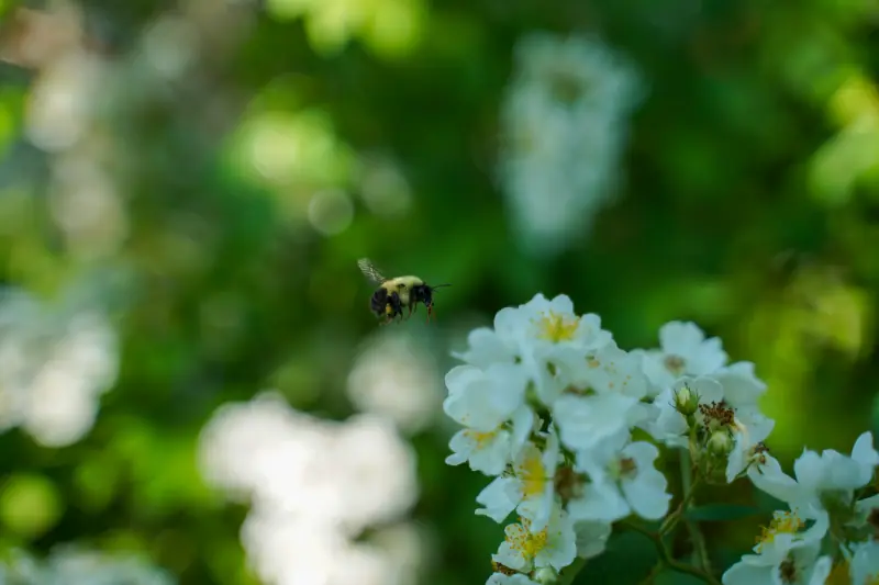 Featured photograph 2